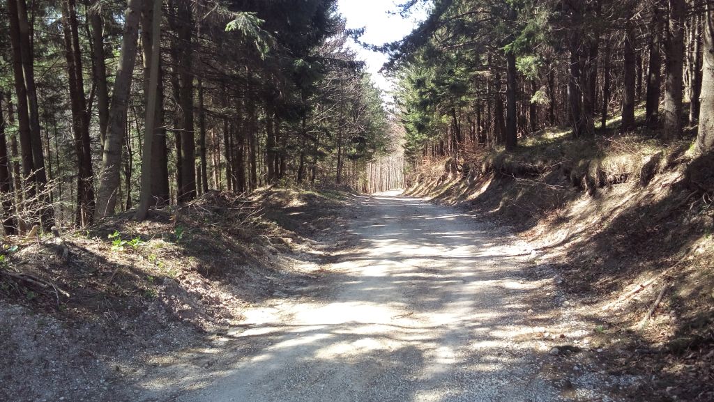 20150411113439345963