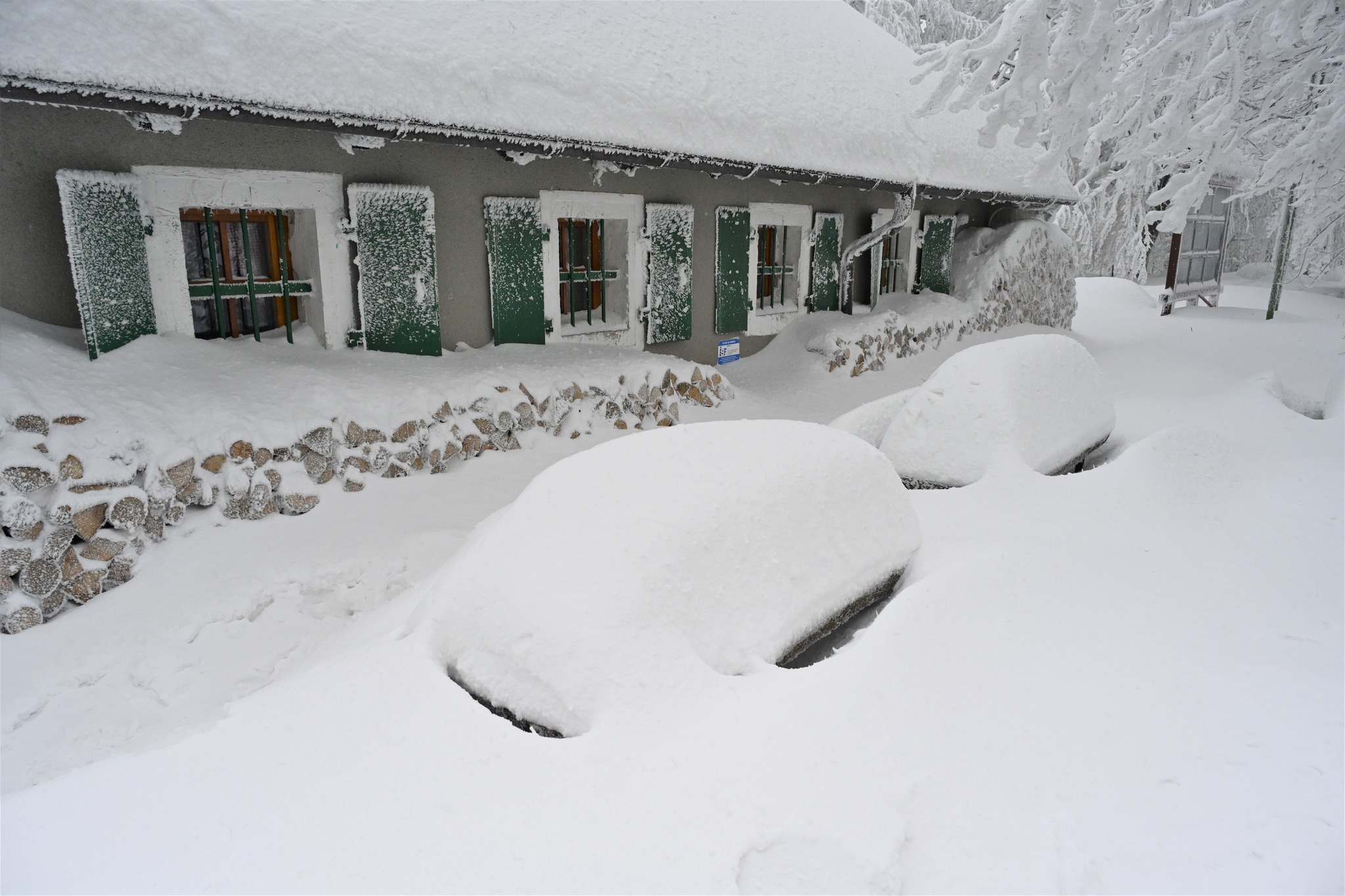 Ivanščica snijeg zima prognoza planina šuma
