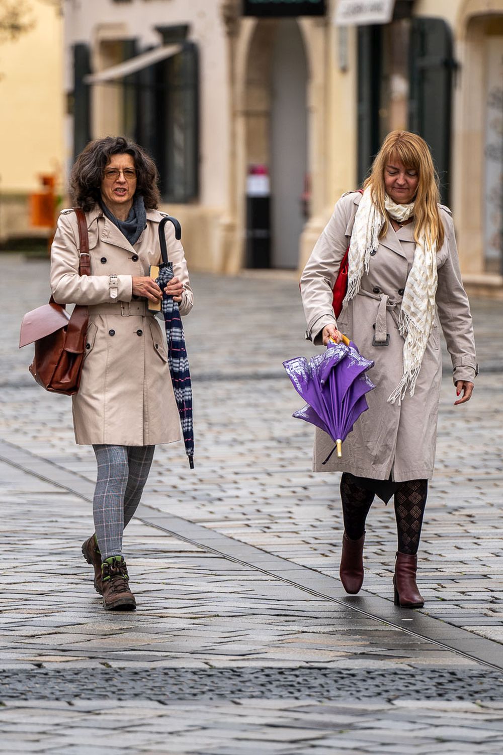 Image 5896291 (auto)