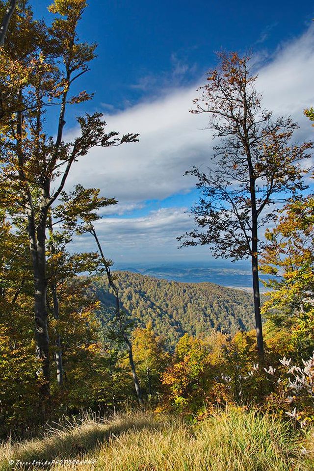 Zoran Stanko, Ivanščica 20.10.2020.