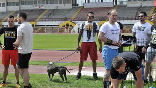 Varaždin Throwdown 9 Varaždin Throwdown 9