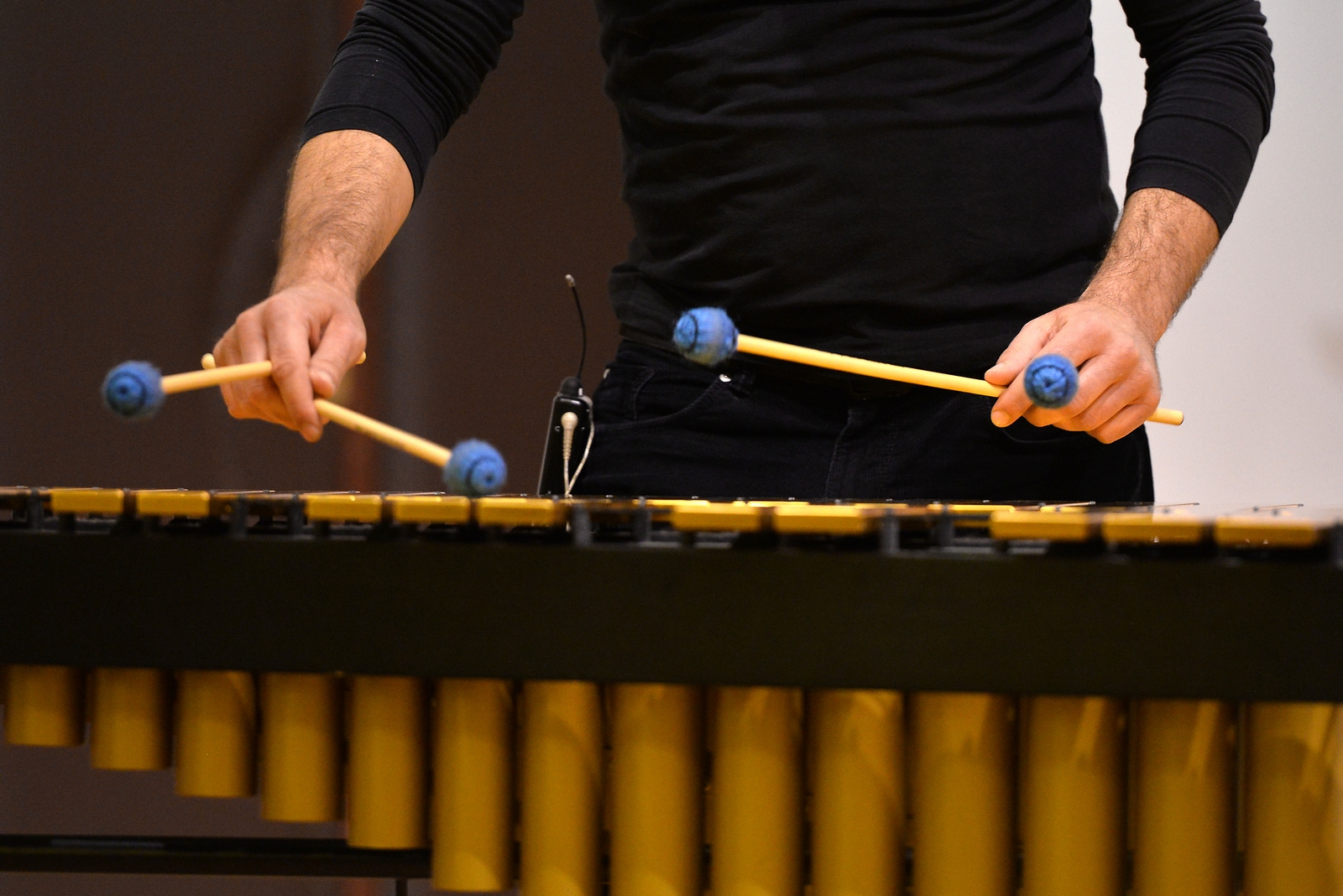Stanislav Muškinja – koncert u Glazbenoj školi Stanislav Muškinja – koncert u Glazbenoj školi