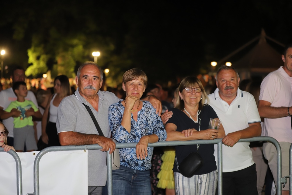 Image 5435086 (auto)