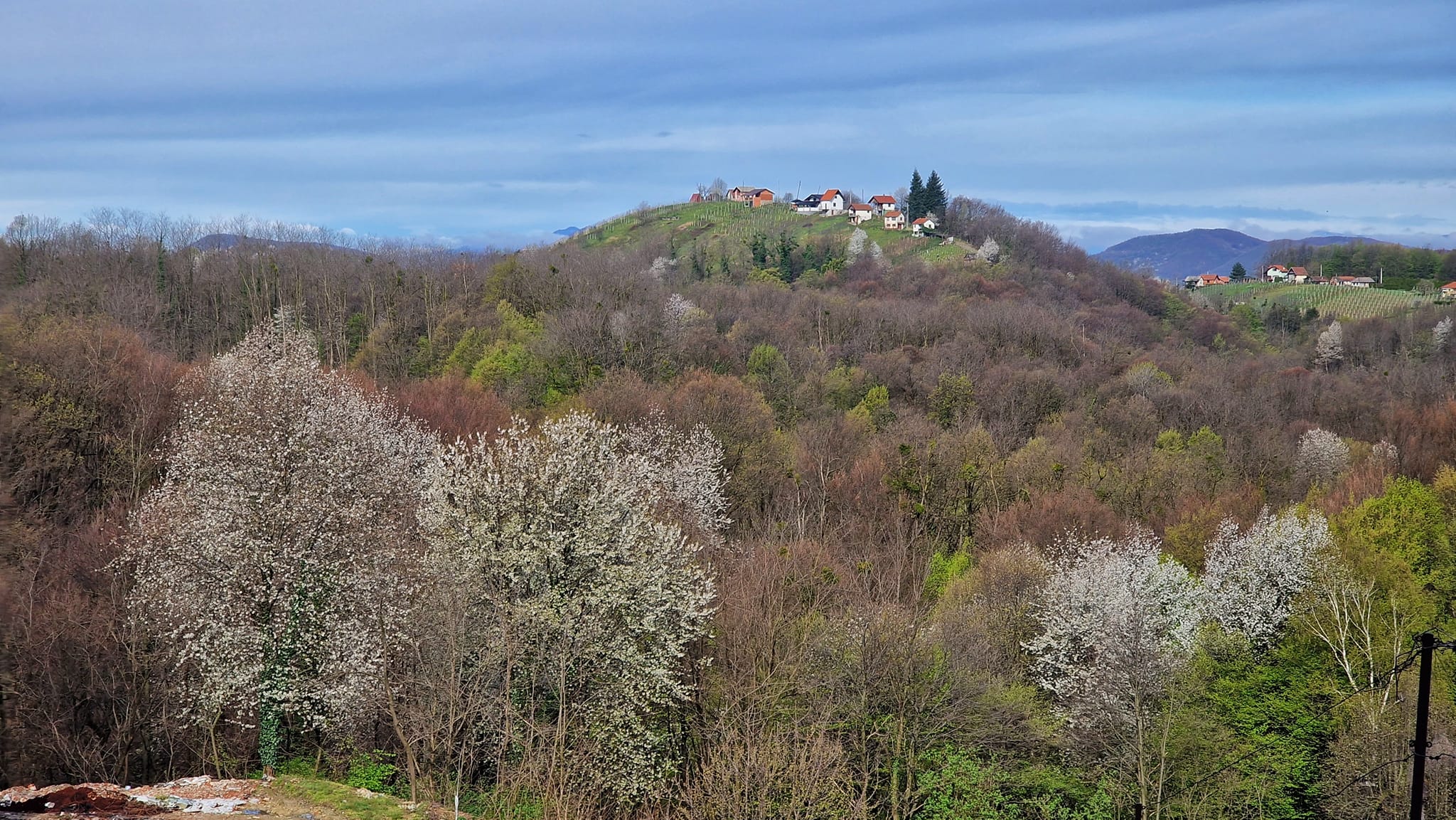 Image 5647551 (auto)