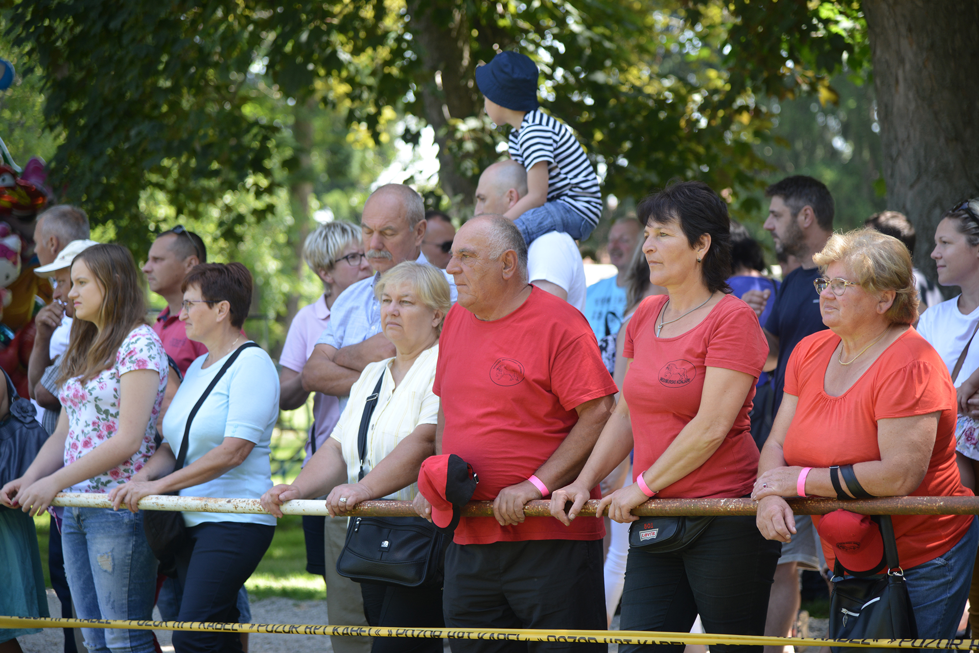 Konjičke i igre u Zelendvoru Konjičke i igre u Zelendvoru