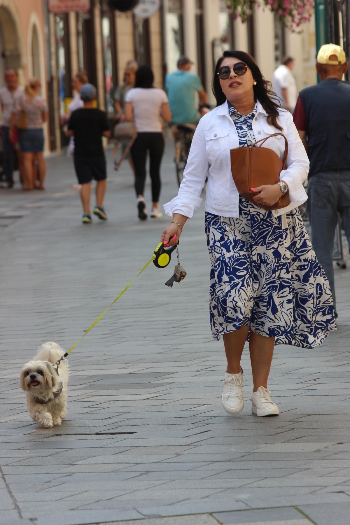 Image 5752865 (auto)