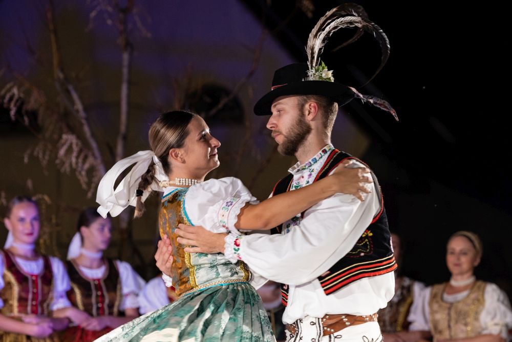 Image 5834291 (auto)