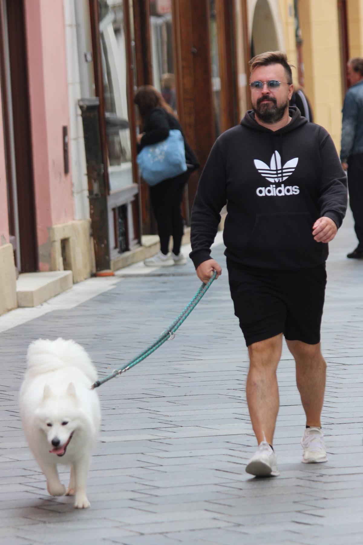 Image 5486680 (auto)