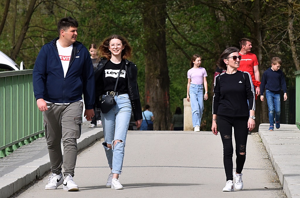 Image 6004915 (auto)