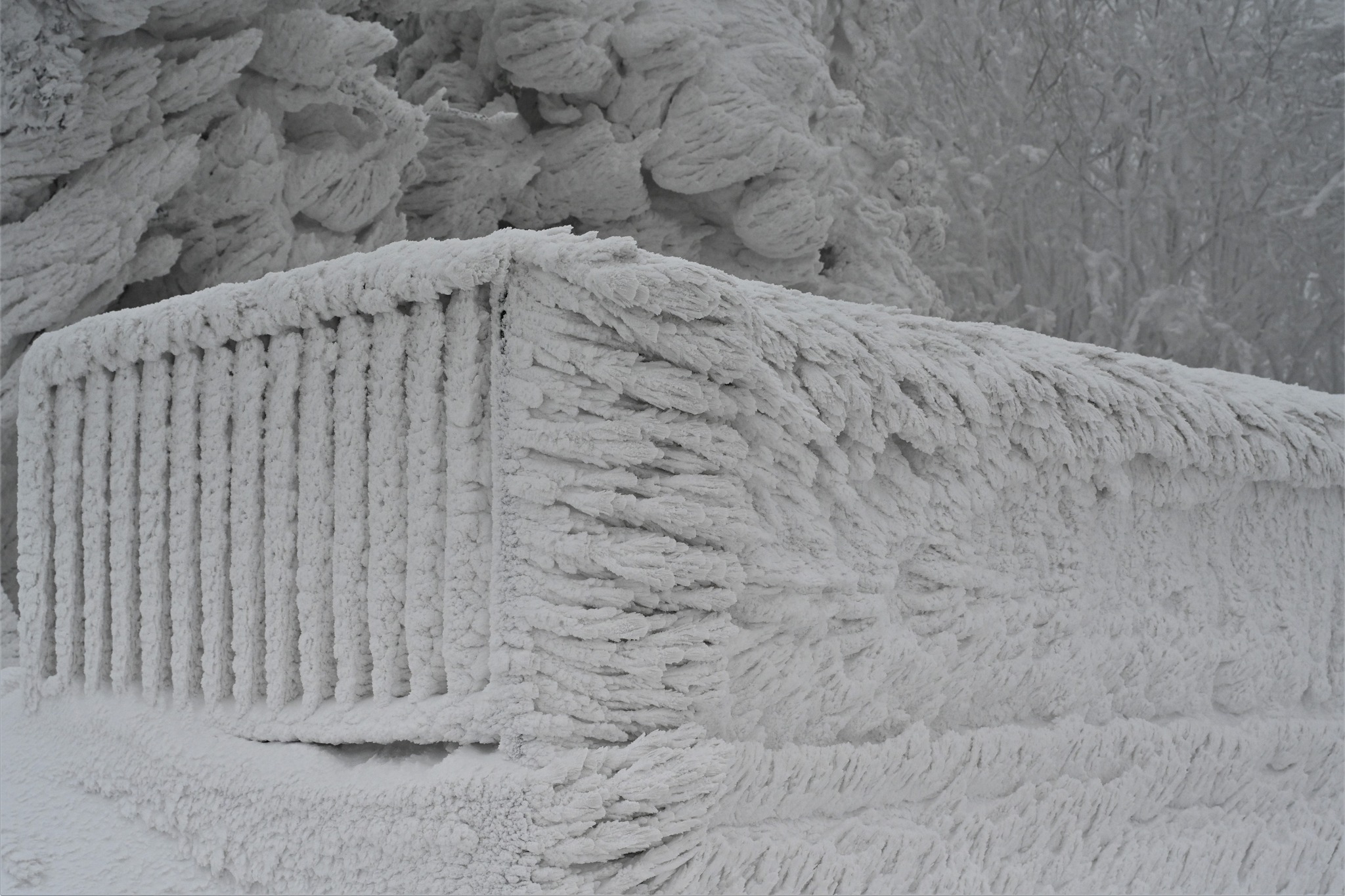 Ivanščica snijeg zima prognoza planina šuma