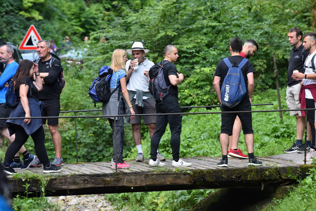 Image 4542376 (auto)