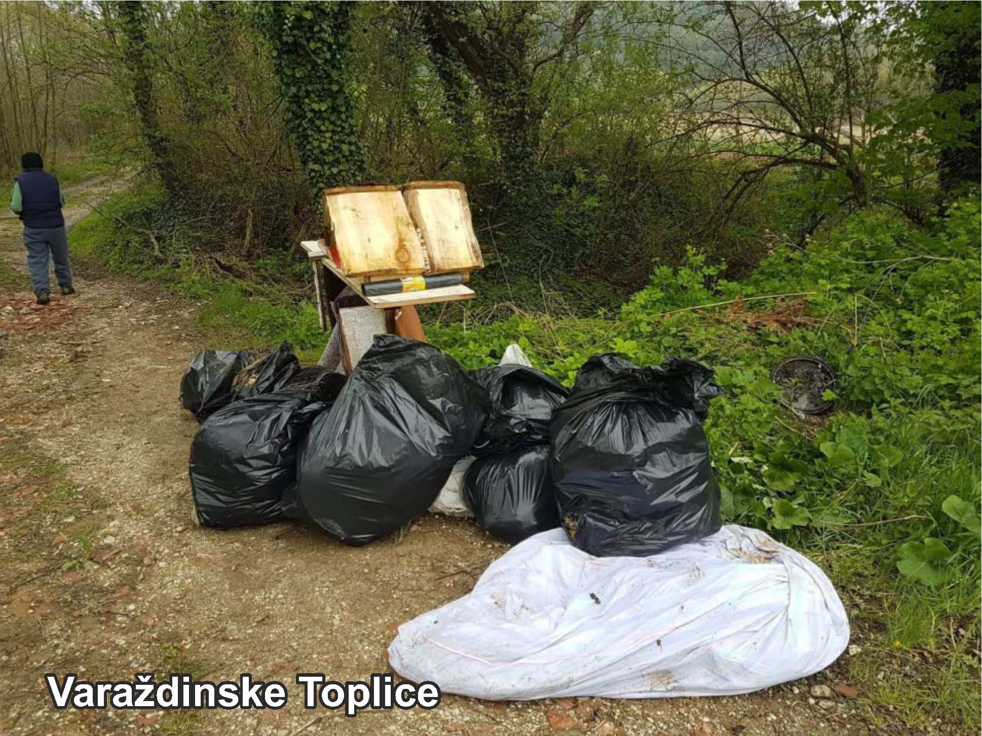 Image 3553221 (auto)