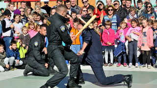 Policijska vježba, Dan policije