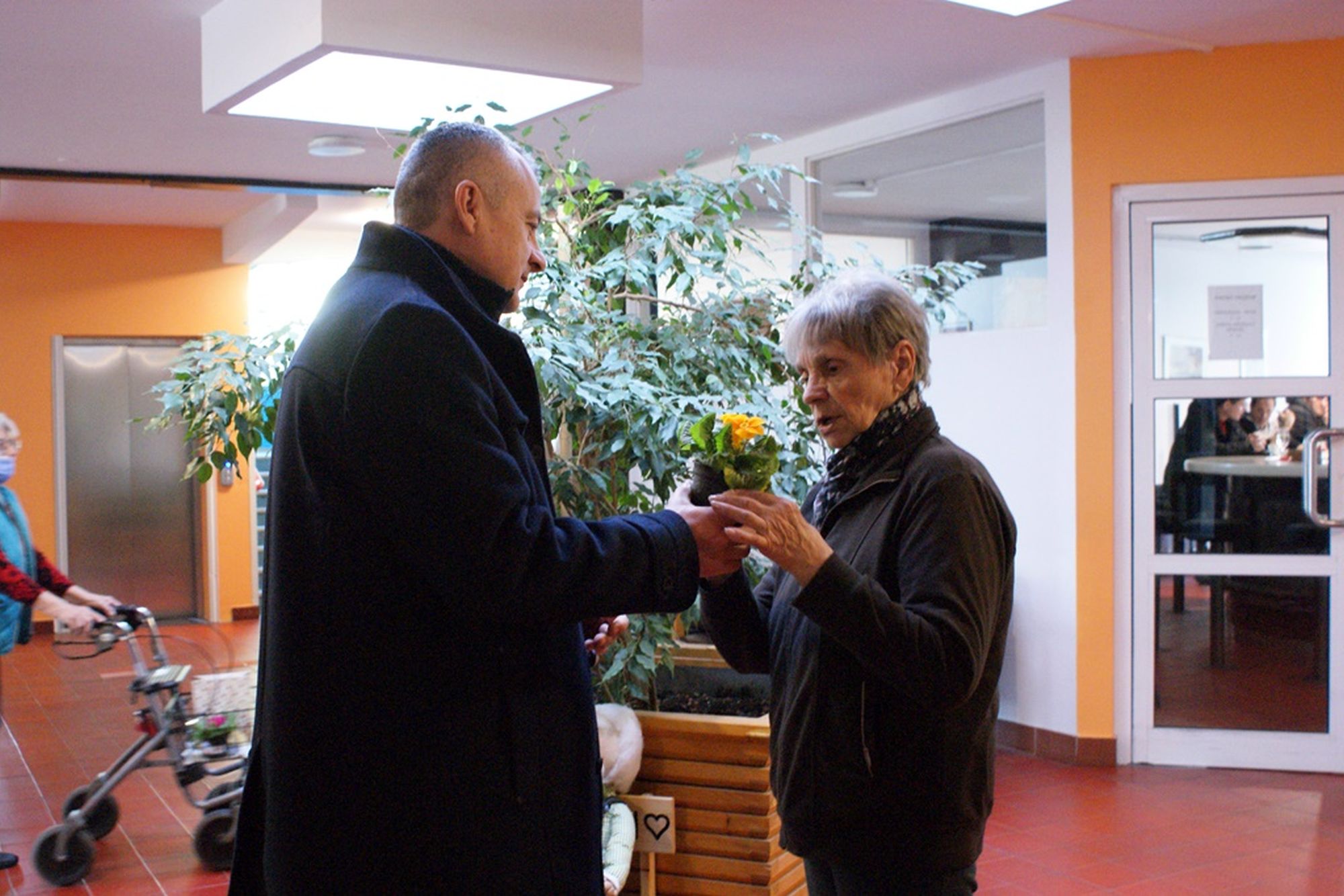 Image 5621887 (auto)