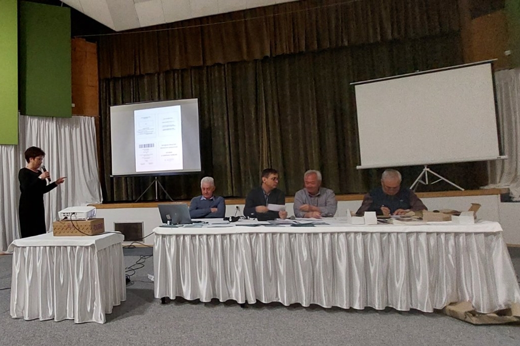 Image 5631935 (auto)