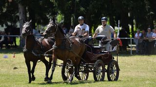 Konjičke igre u Zelendvoru