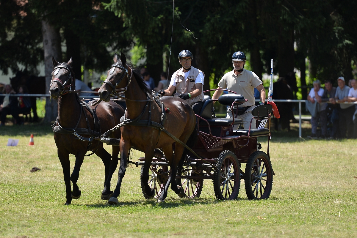 Konjičke igre u Zelendvoru