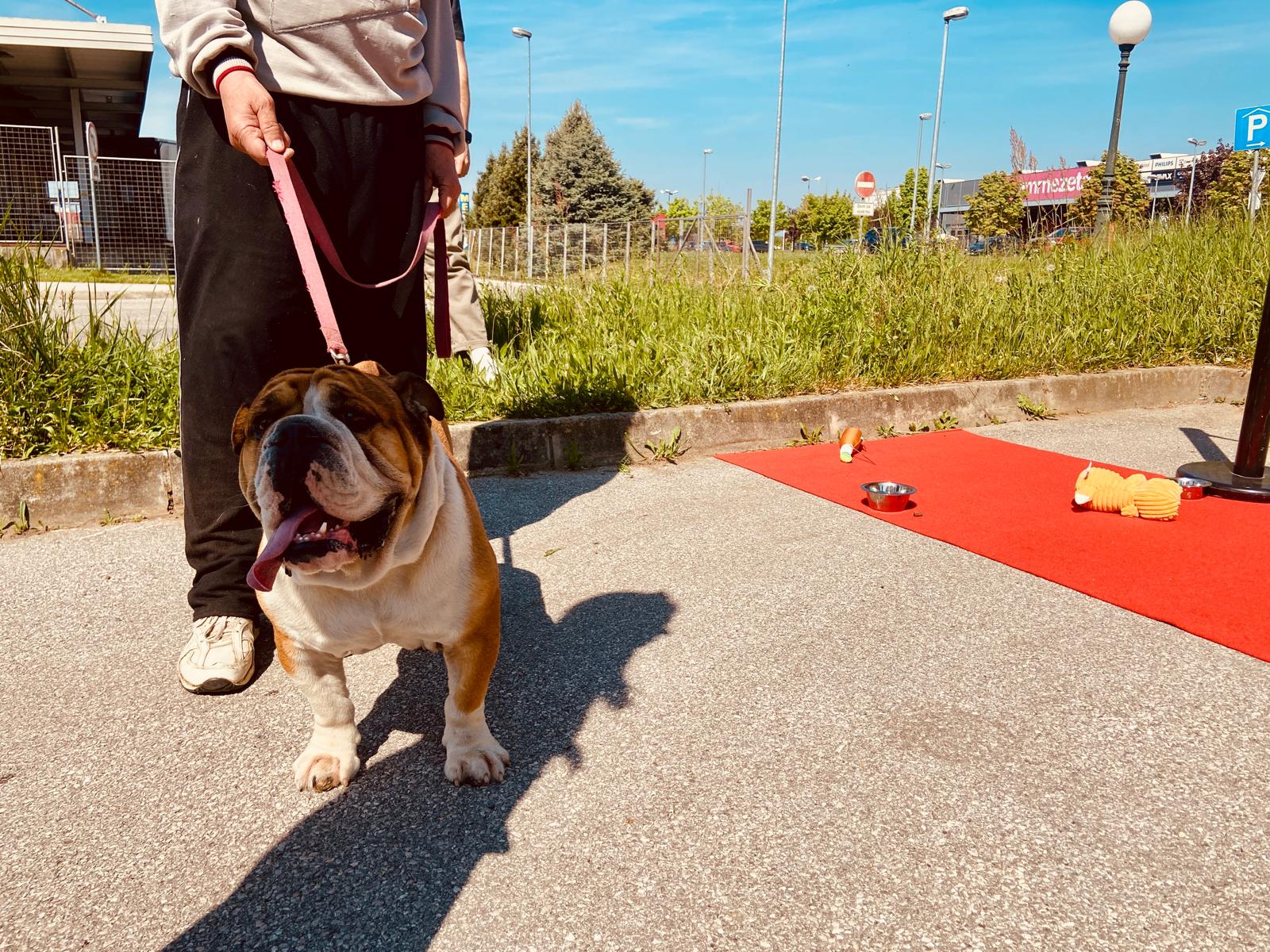 Otvorenje Pet centra