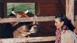 Image 4112813 (auto) Image 4112813 (auto)