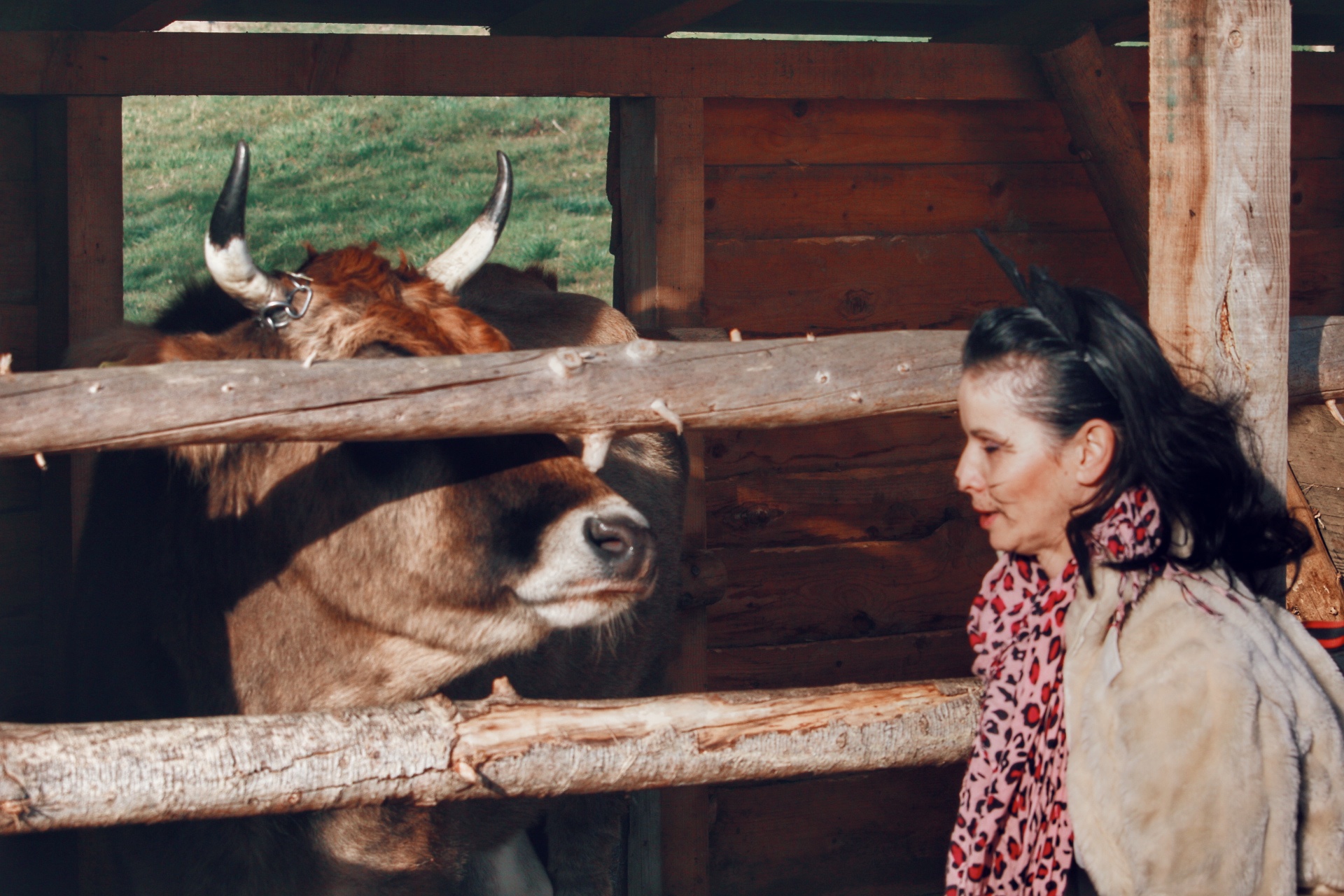 Image 4112813 (auto) Image 4112813 (auto)