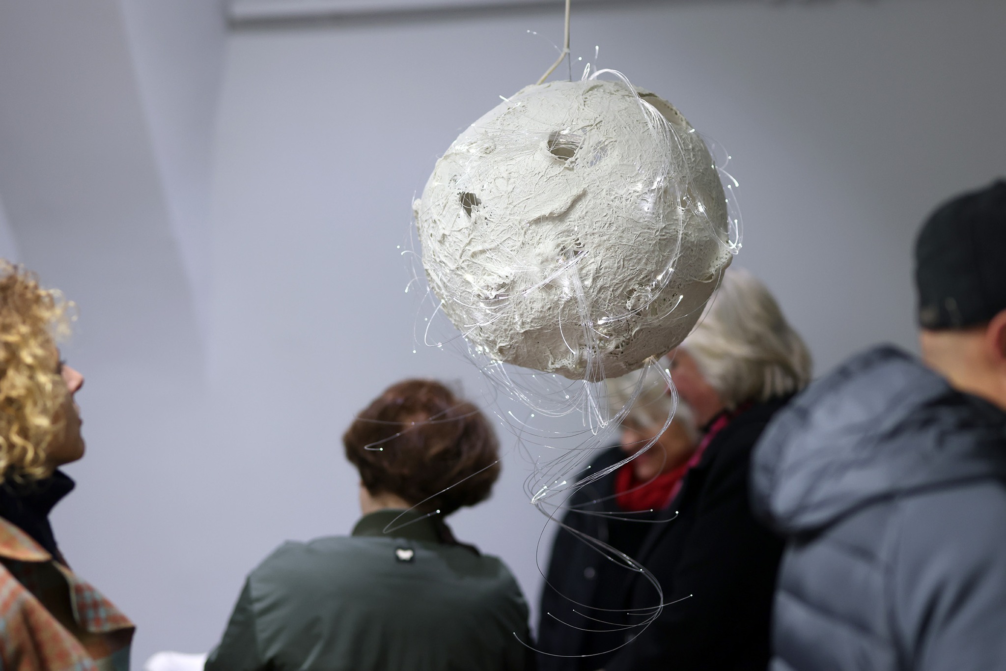 Image 5530610 (auto)