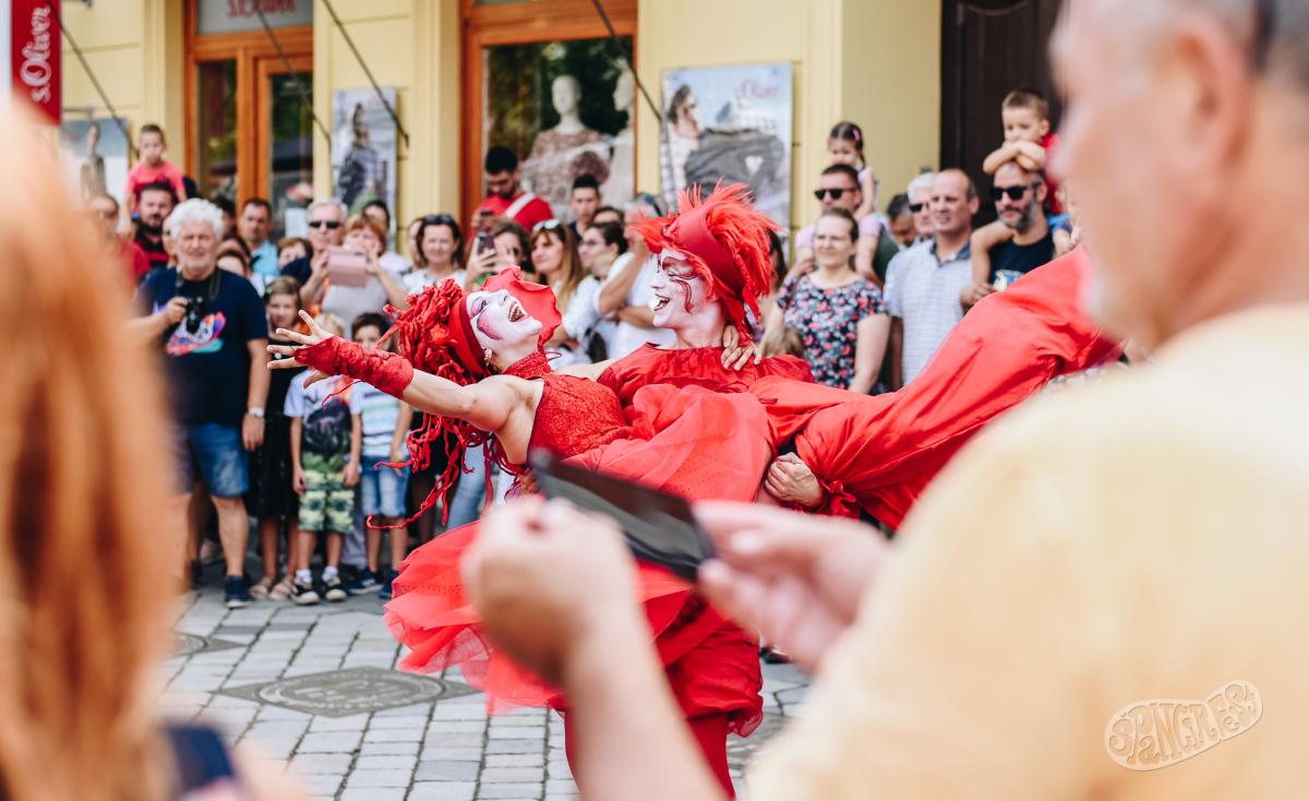 Image 5458848 (auto)