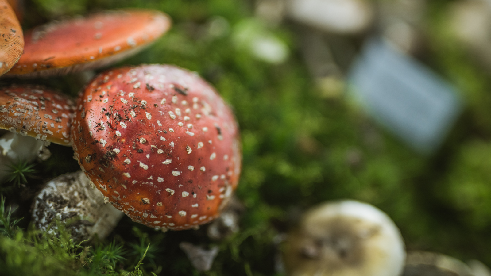 Međunarodni sajam ‘Priroda, lov, ribolov, turizam’ 2019., Arena Varaždin