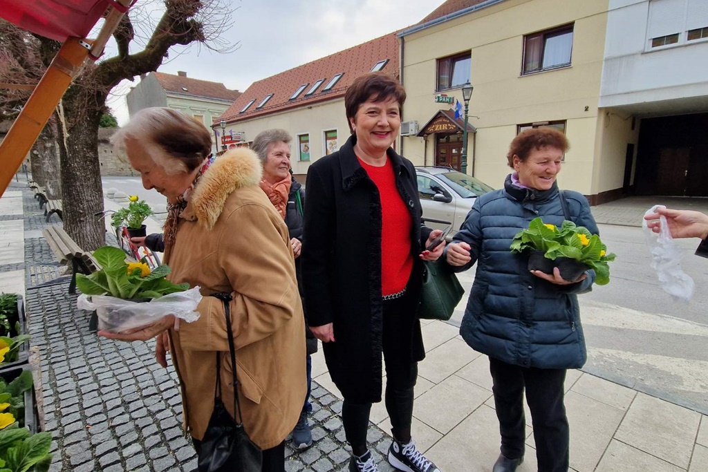 Image 5991041 (auto)