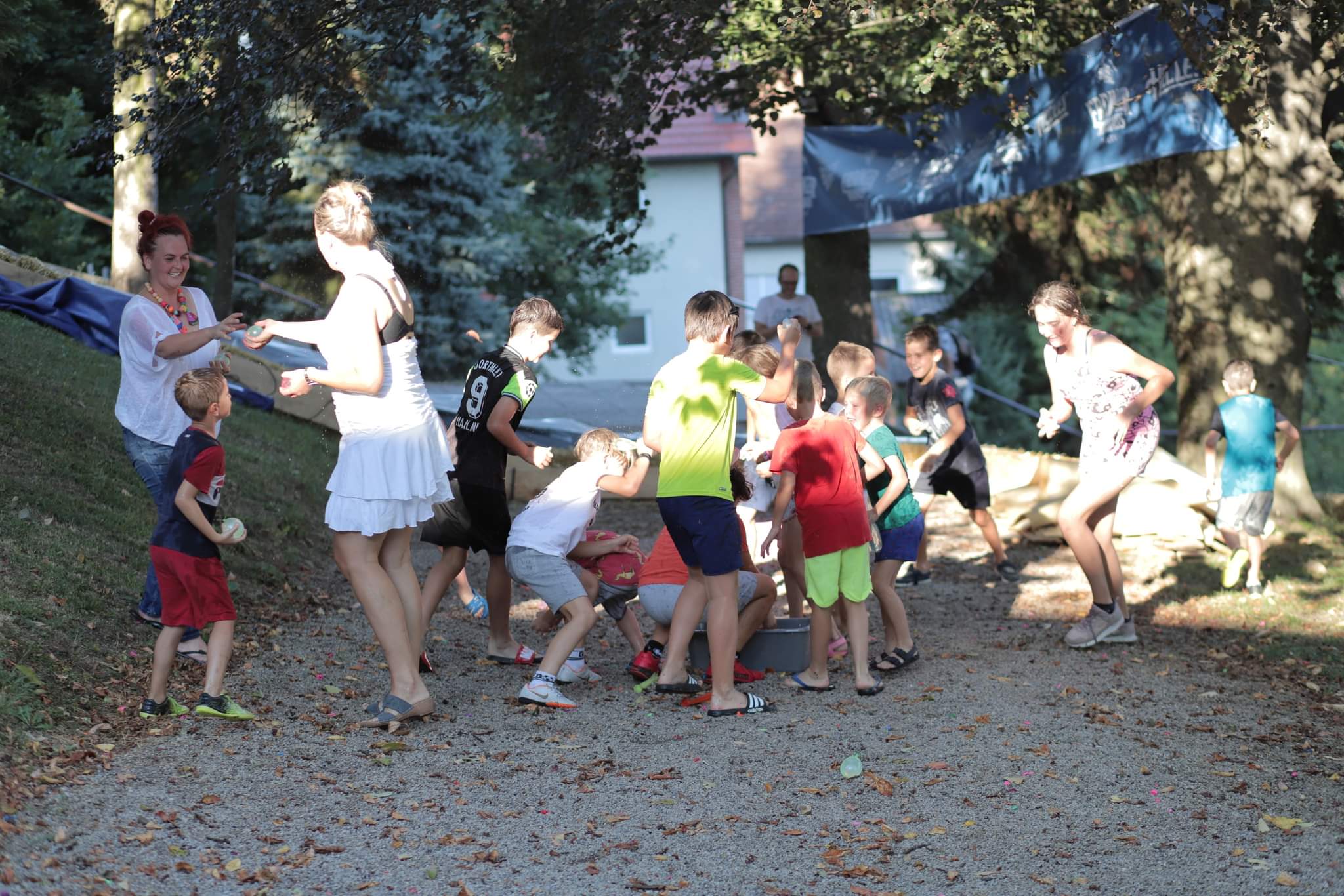 Image 5440272 (auto)