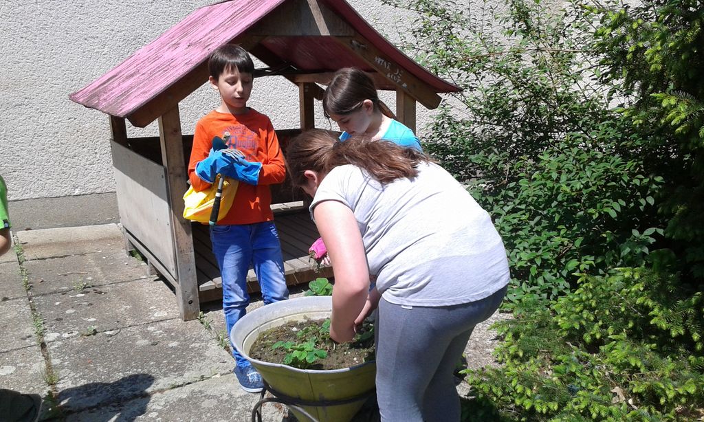 20150518115225837694