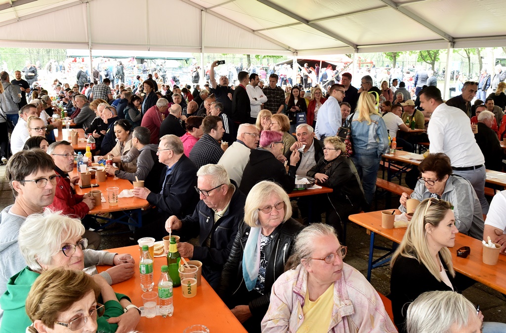 Image 5678245 (auto)