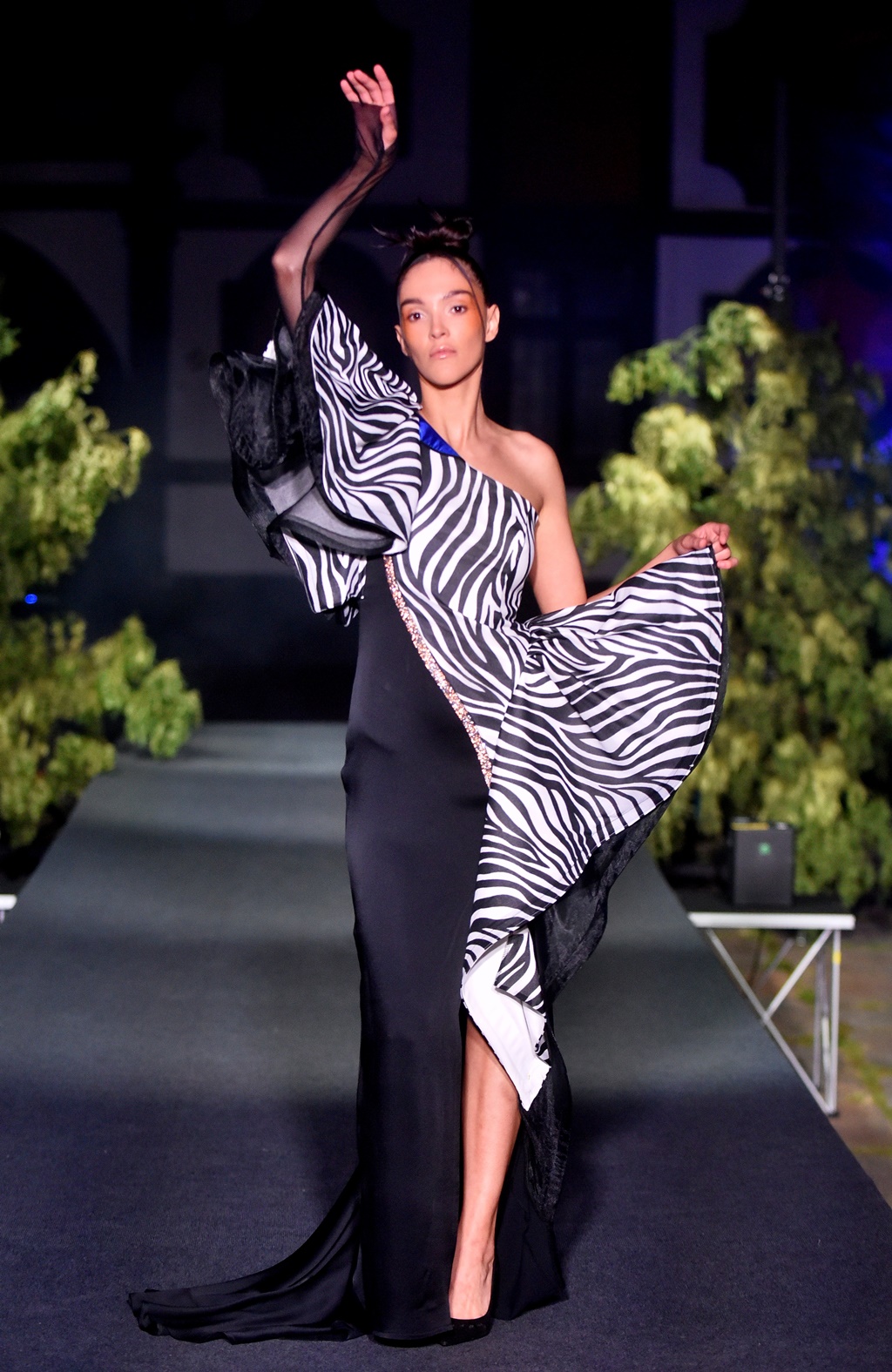 Image 5732355 (auto)