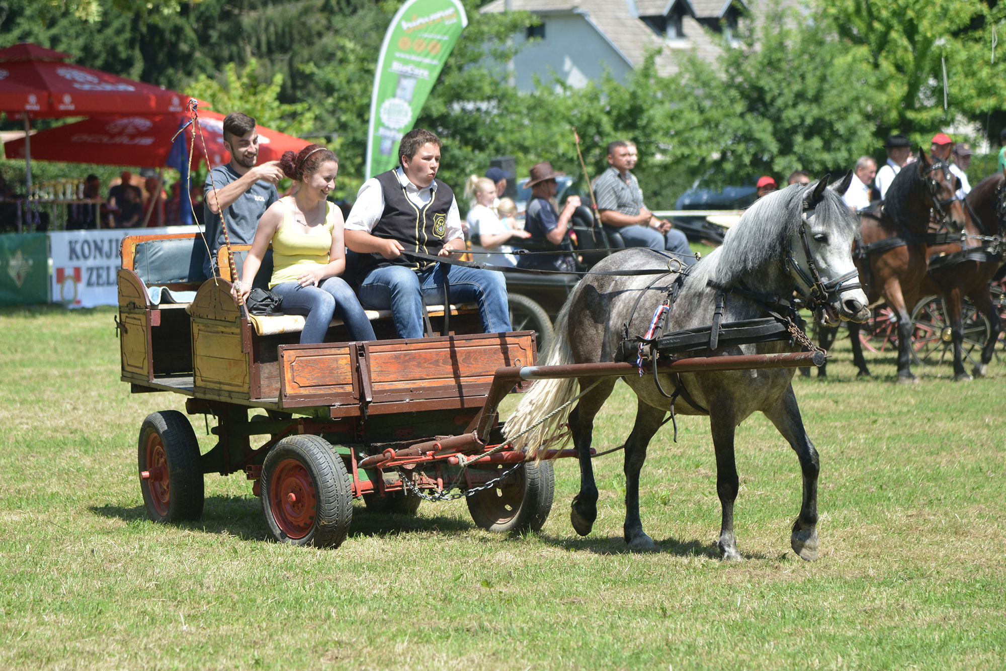 Konjičke i igre u Zelendvoru Konjičke i igre u Zelendvoru