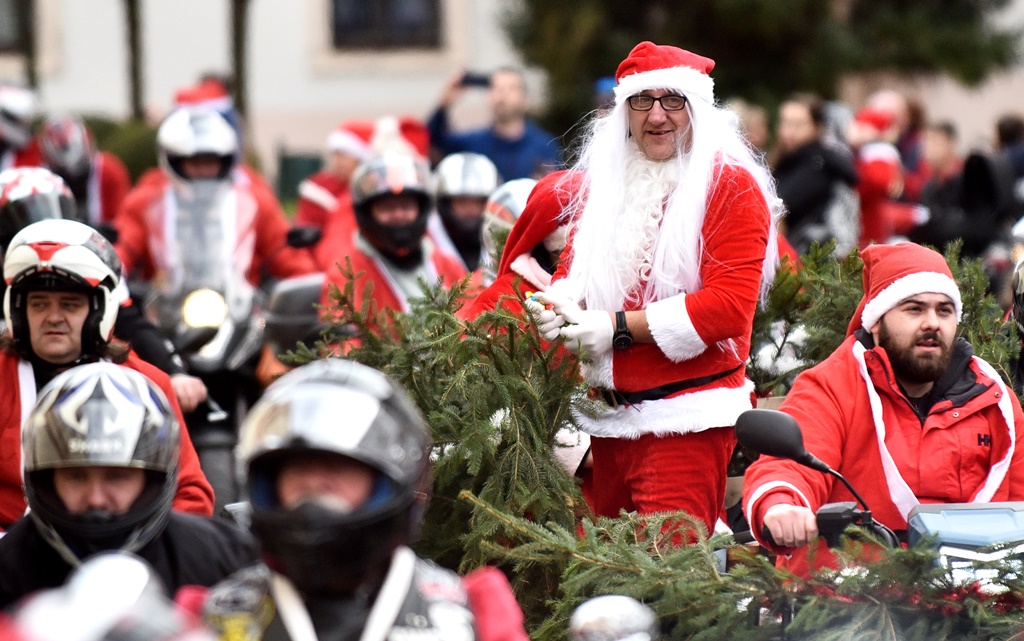 Image 5573457 (auto)