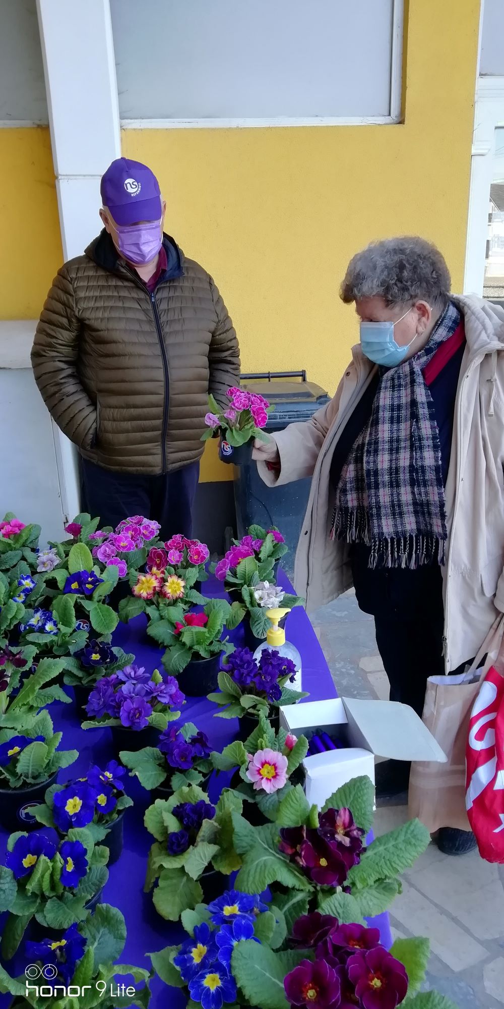 Reformisti, Dan žena