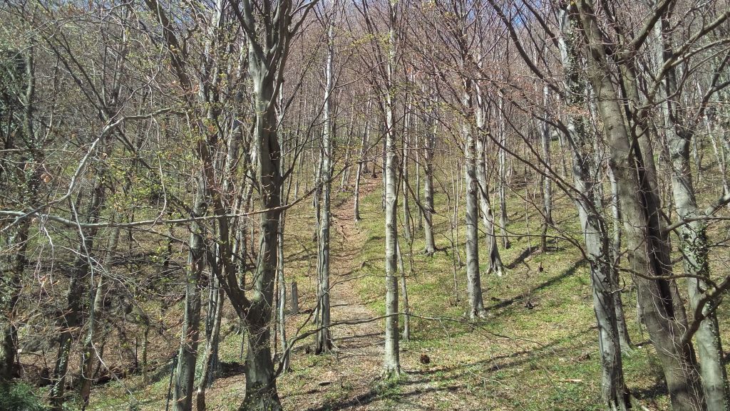 20150411122142150249