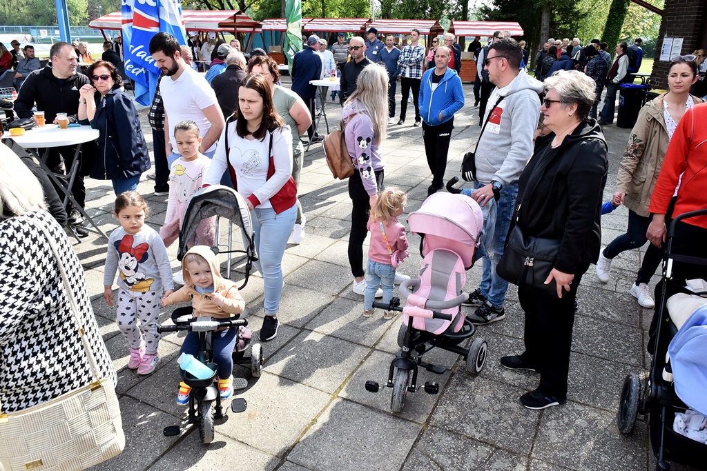 Image 5678213 (auto)