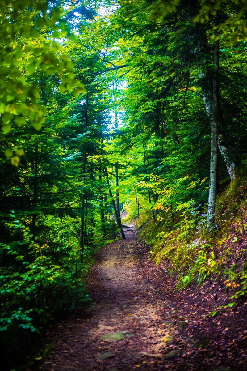 Jesen u Trakošćanu