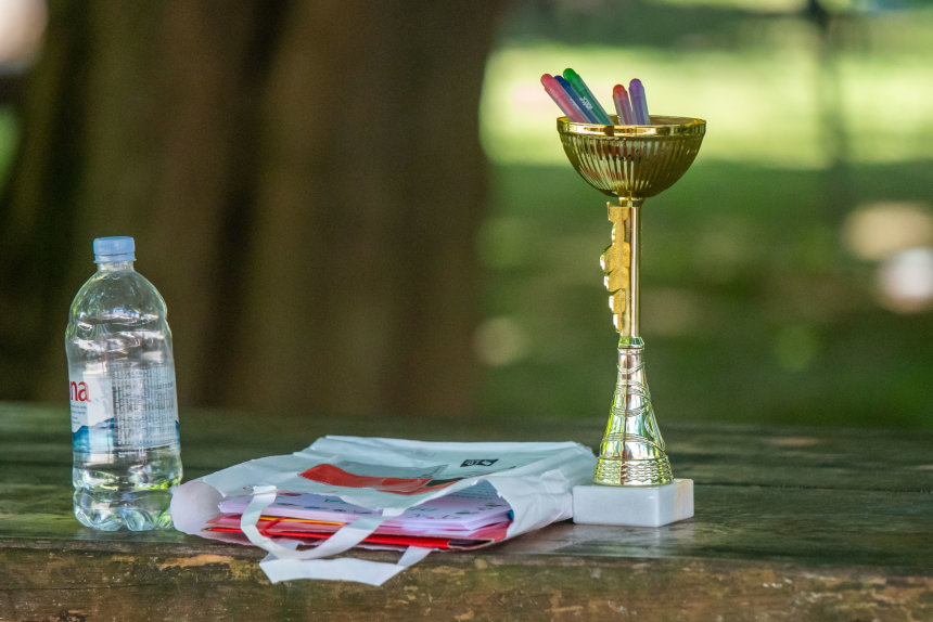 Image 5735715 (auto)