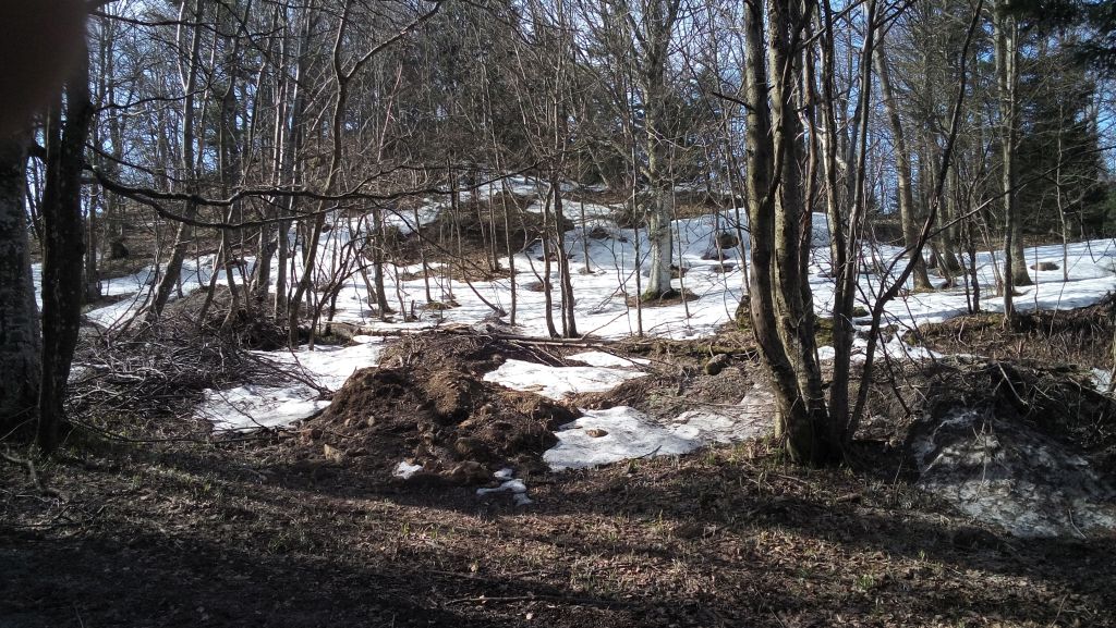 20150411094718910748