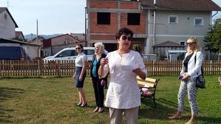 Image 5836323 (auto)