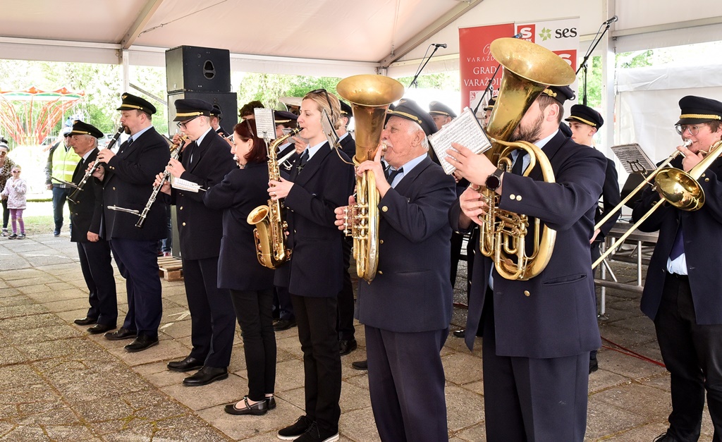 Image 5678211 (auto)