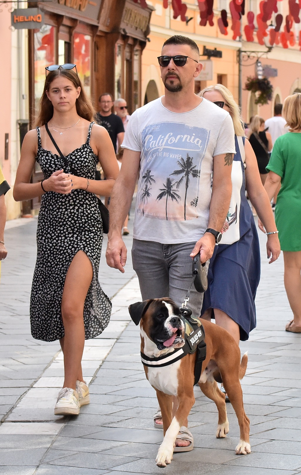 Image 5806563 (auto)