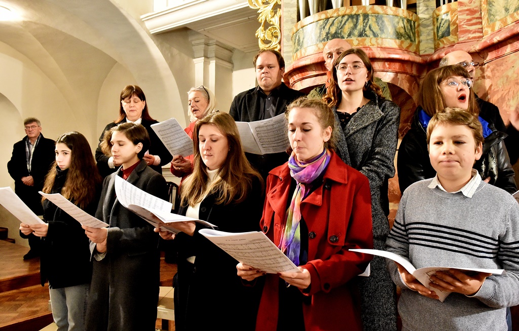 Image 5568815 (auto)