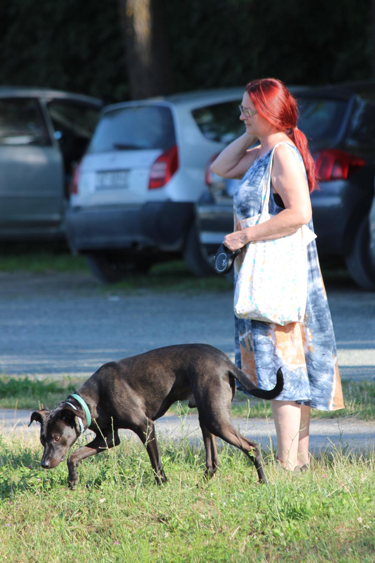 Image 5422986 (auto)