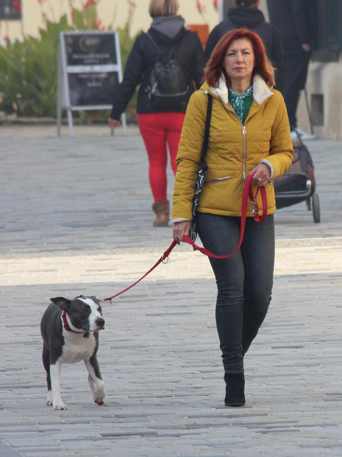 Image 5119768 (auto)