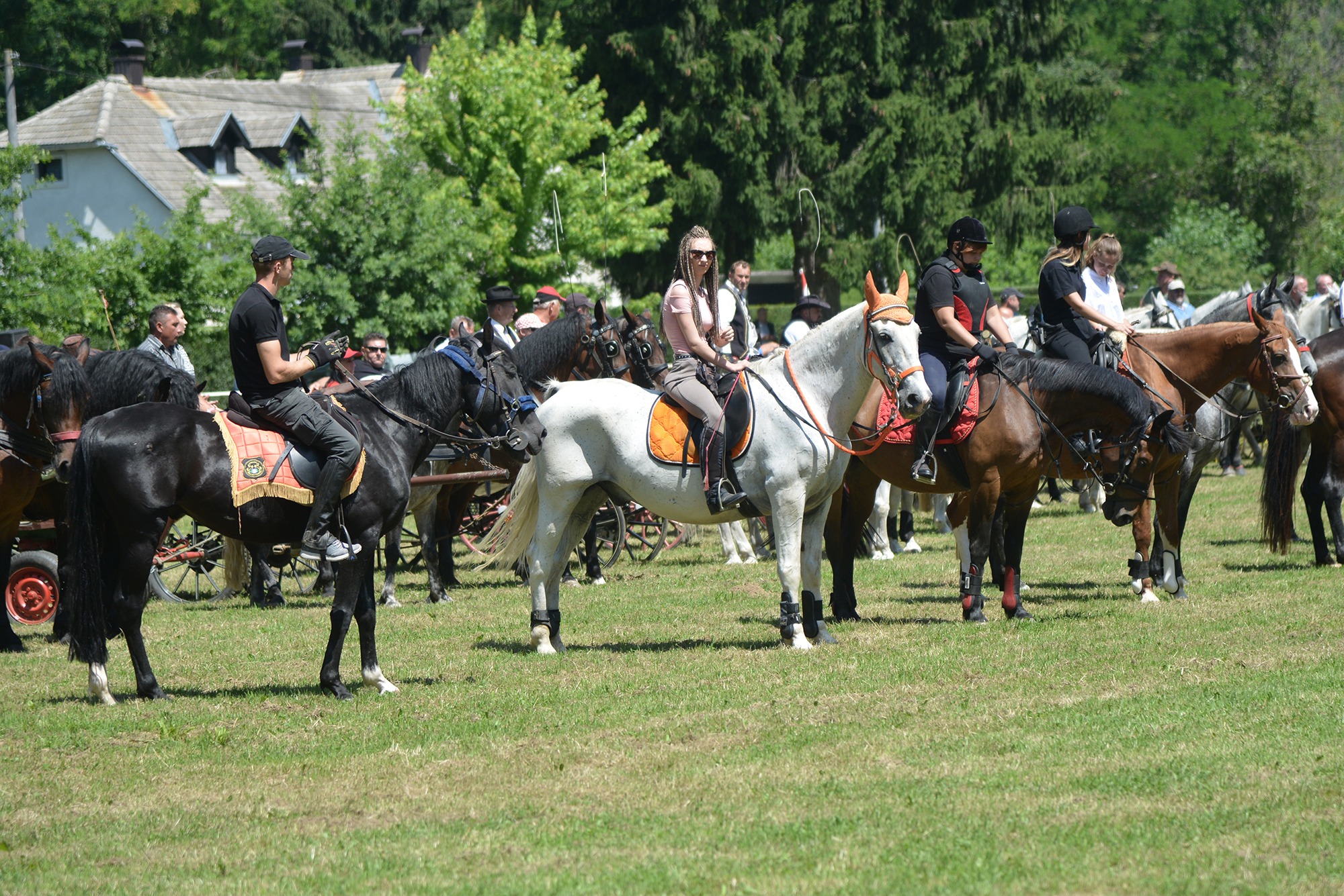 Konjičke i igre u Zelendvoru Konjičke i igre u Zelendvoru