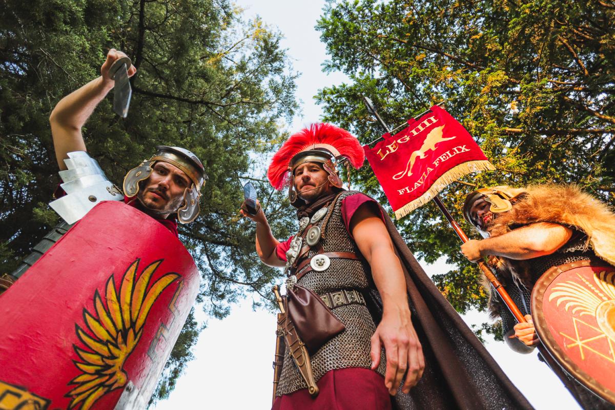 Image 5721041 (auto)