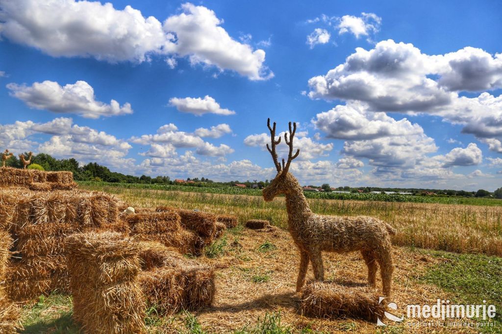 1968818310212312049133321171629