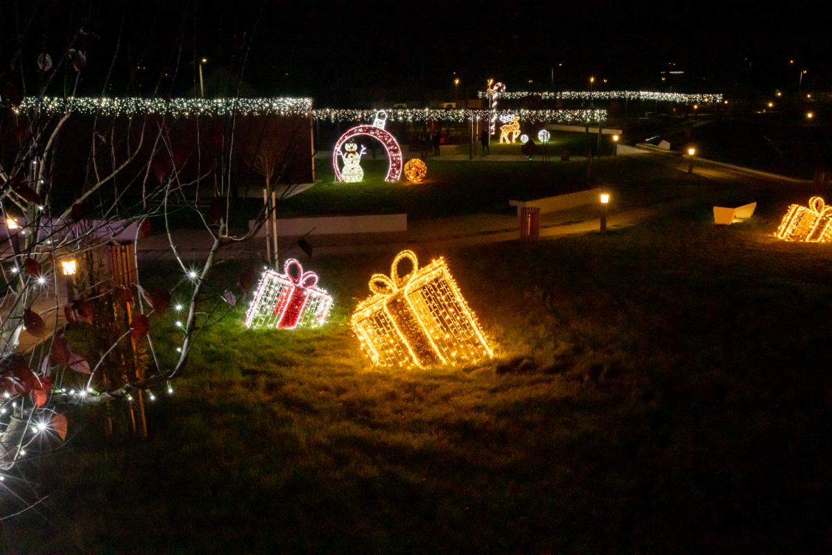 Image 5535202 (auto)